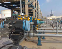 某發電廠閥門安裝實拍